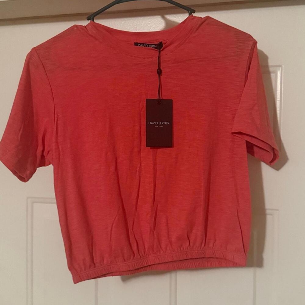 David lerner crop tee